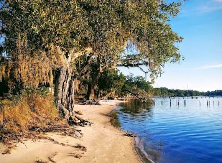 WMA Bayside Campground