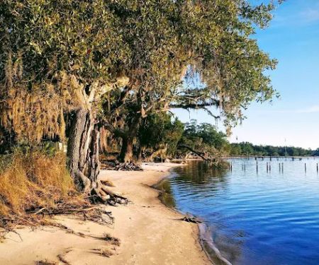 WMA Bayside Campground