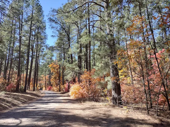 Fourth of July Campground Picture 2