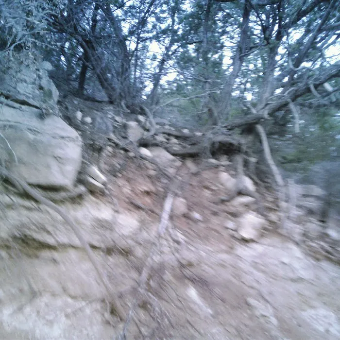 Tajique Campground Picture 10