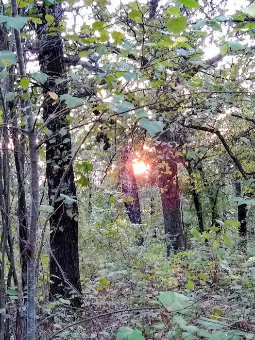 Twin Coves Campground Picture 1