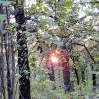 Twin Coves Campground ico