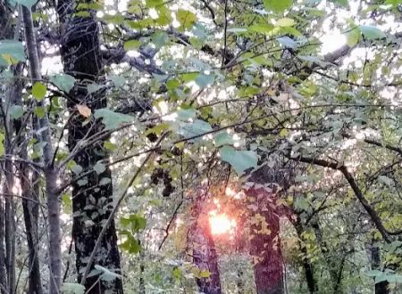 Twin Coves Campground