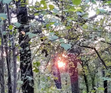 Twin Coves Campground