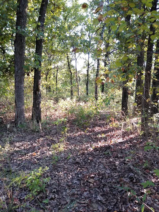 Twin Coves Campground Picture 5
