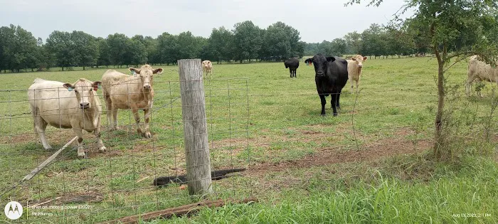 Country RV Camp Picture 3