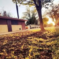 Blue Spruce Trailer Park ico