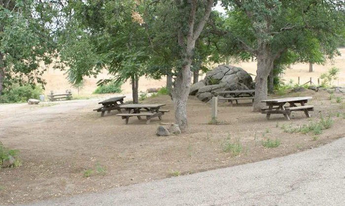 Millerton Large Group Campground Picture 3