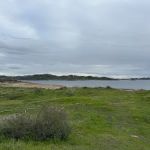 Millerton Large Group Campground