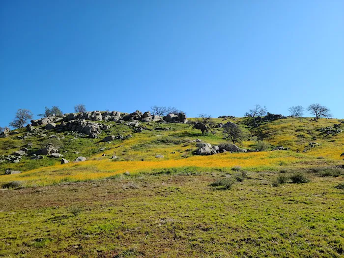 Meadow Campground Picture 9
