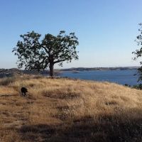 Valley Oak Campground ico