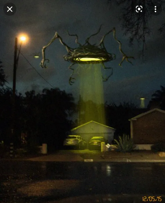 Rio Bravo Mobile Home Park Picture 10