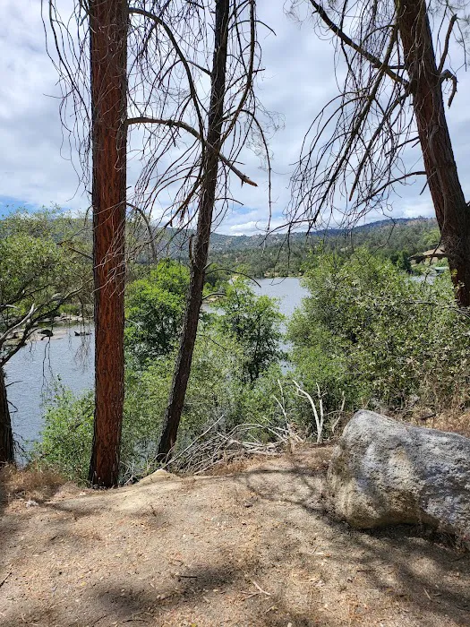Smalley Cove Campground Picture 9