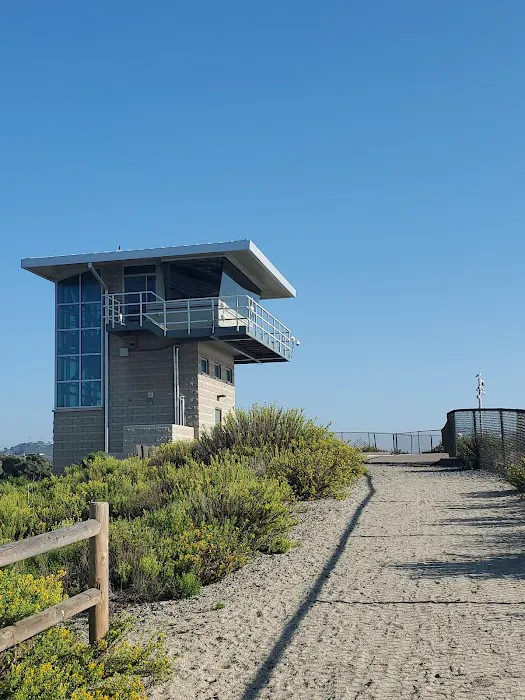 San Elijo State Beach Campground Picture 1