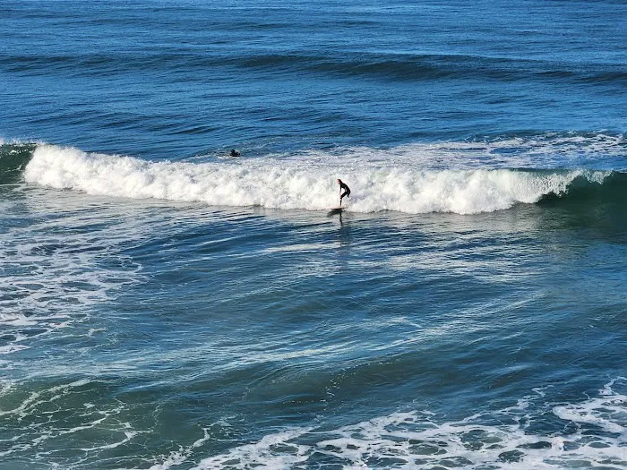 San Elijo State Beach Campground Picture 4