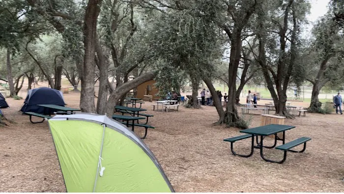 Wildwood Ranch Camp Picture 1