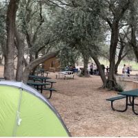 Wildwood Ranch Camp ico