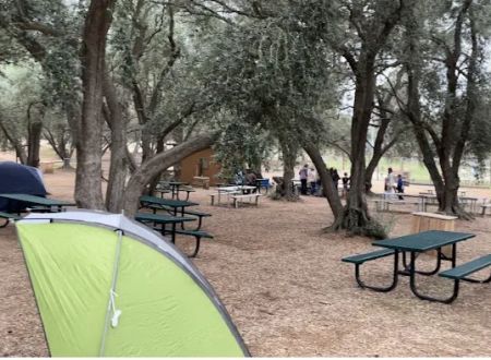 Wildwood Ranch Camp
