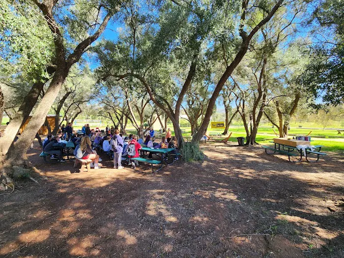 Wildwood Ranch Camp Picture 4