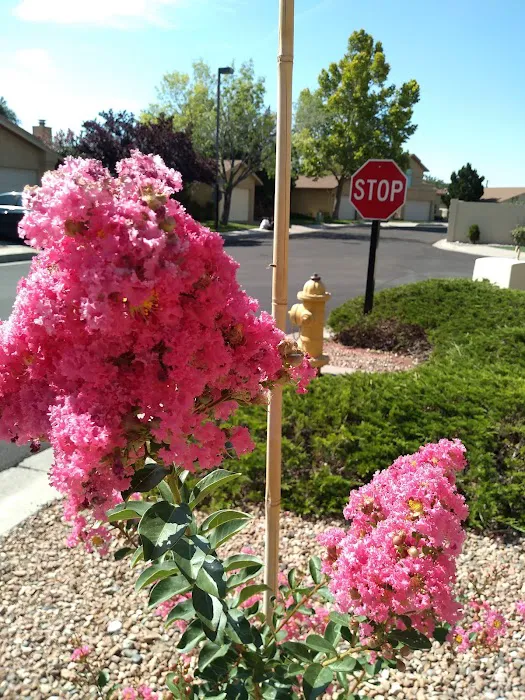 Skyline Mobile Home Park Picture 1