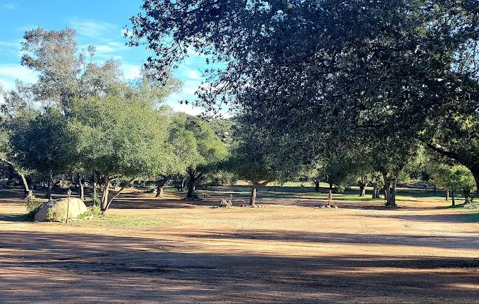 Skyline Ranch RV Park & Cmpgrn Picture 3