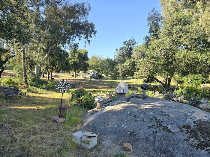 Skyline Ranch RV Park & Cmpgrn Picture 5