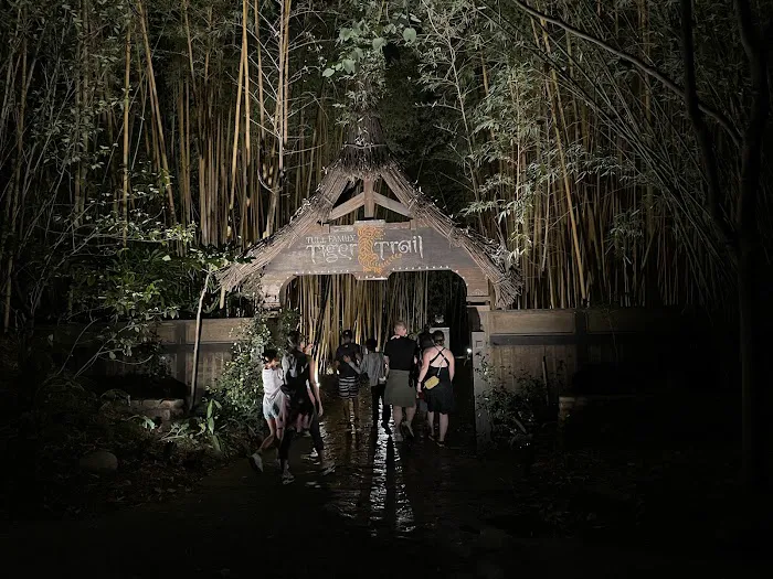 Roar and Snore Campground Picture 4