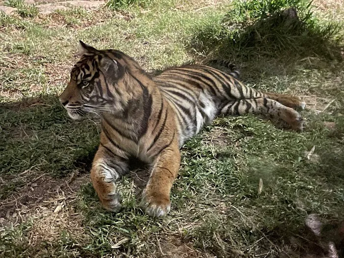 Roar and Snore Campground Picture 5