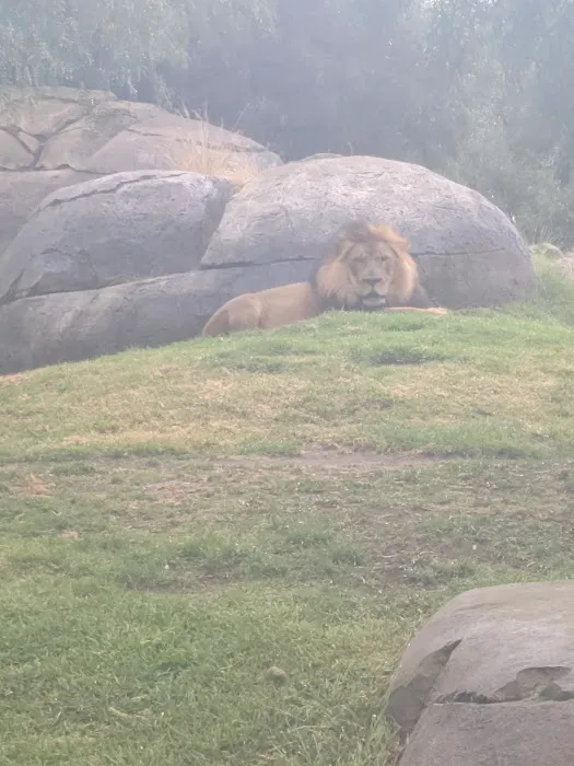 Roar and Snore Campground Picture 8