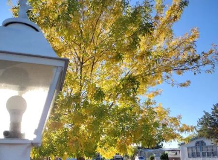 Four Hills Mobile Home Park