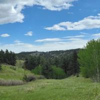 Sourdough Springs Campground ico