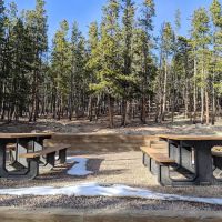 Rifleman Phillips Campground ico