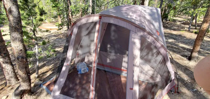 Rifleman Phillips Campground Picture 6