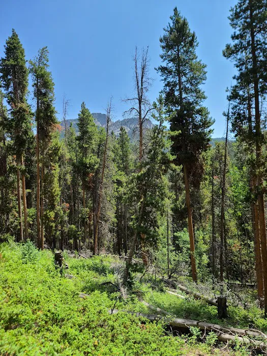 Reverends Ridge Campground Picture 4
