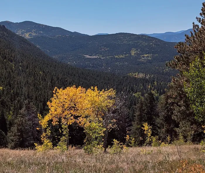 Reverends Ridge Campground Picture 6