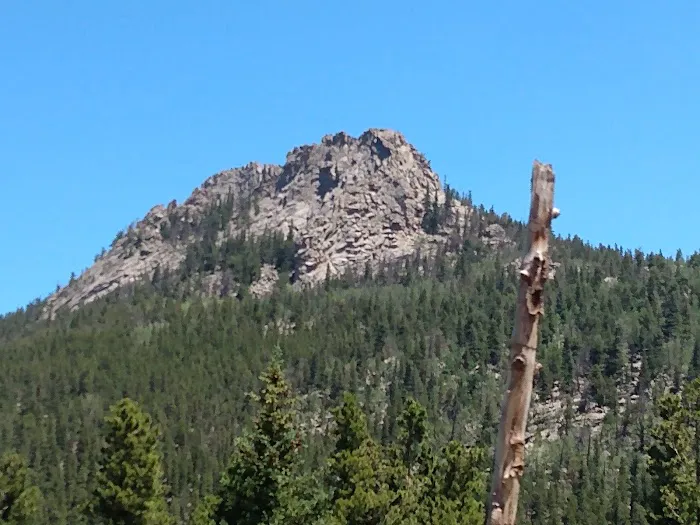 Golden Gate State Park Campground Picture 4
