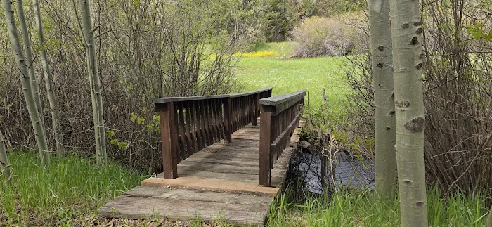 Golden Gate State Park Campground Picture 8