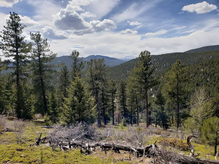 Golden Gate State Park Campground Picture 10