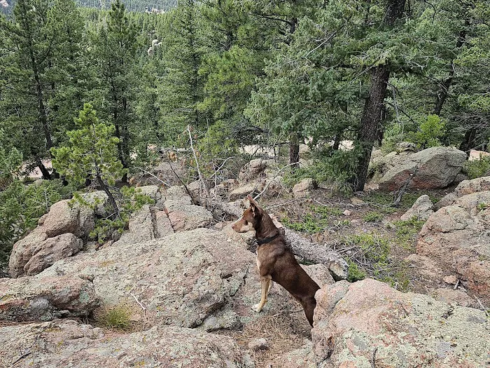 Rampart Range Picture 4