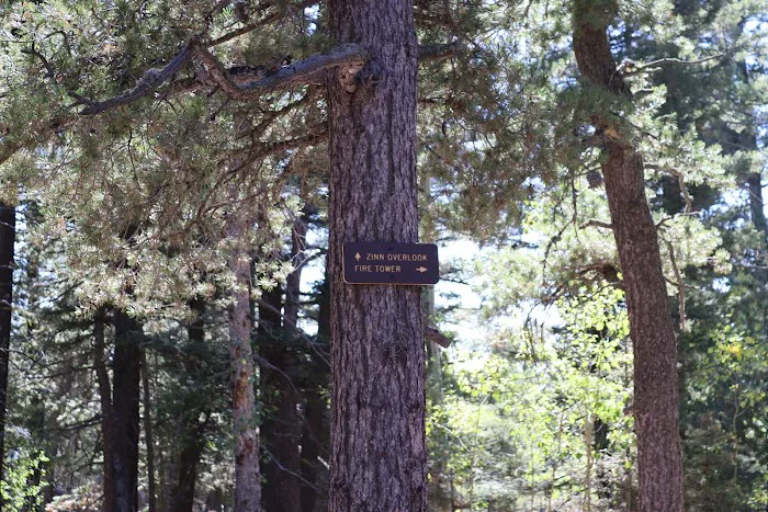 Rampart Range Picture 10