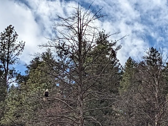 Osprey Campground Picture 5