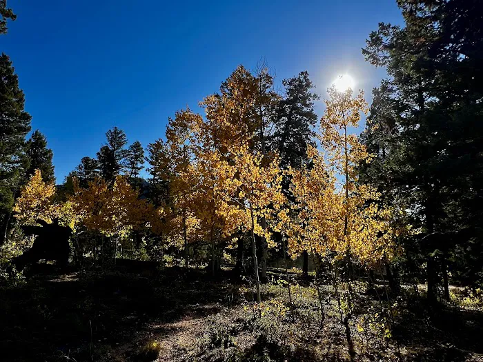 Flat Rocks Campground Picture 6