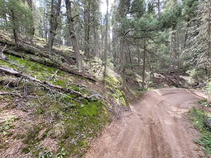 Flat Rocks Campground Picture 10