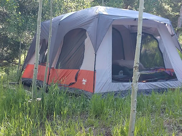 Cold Springs Campground Picture 7