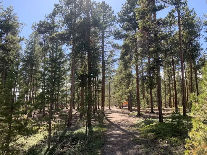 PICKLE GULCH (Group Site Camping) Picture 5