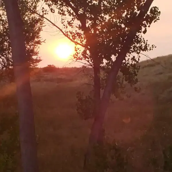 Highboy Ranch Picture 2