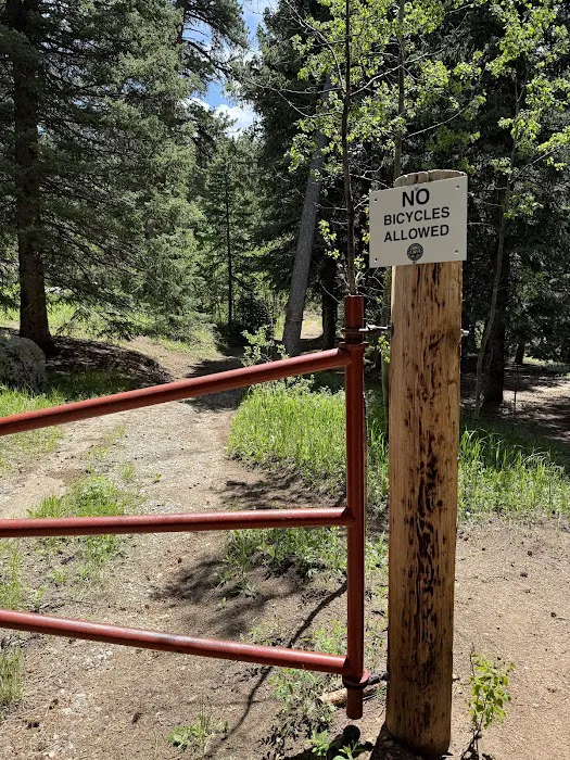 Camp Rock Campground and Trailhead Picture 1