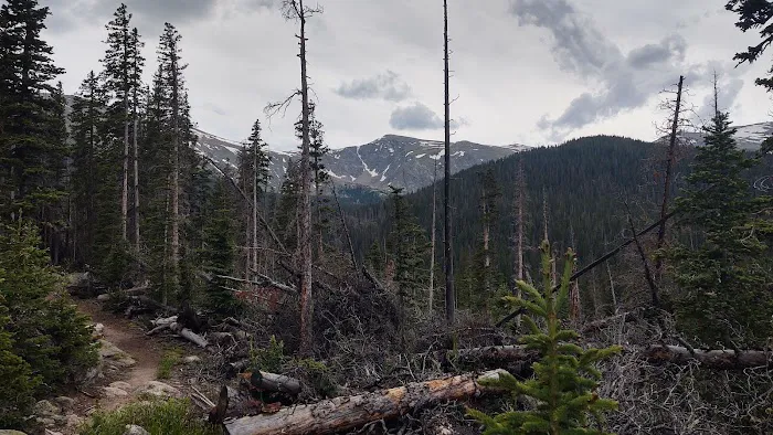 Camp Rock Campground and Trailhead Picture 4