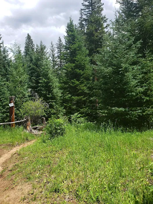 Camp Rock Campground and Trailhead Picture 7
