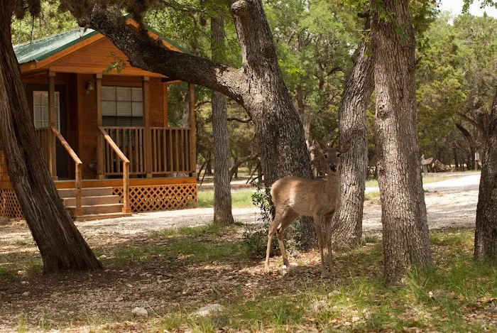 Thousand Trails Medina Lake Picture 4